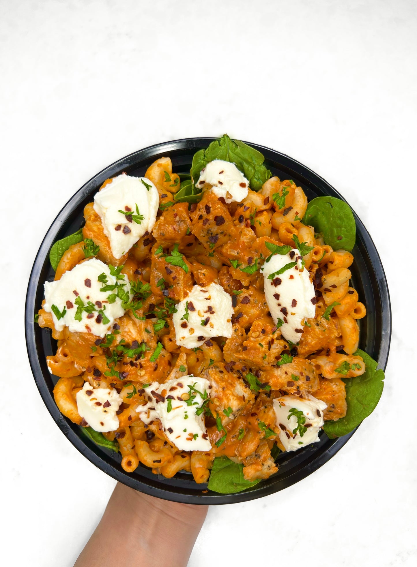 Chicken Ricotta Pasta