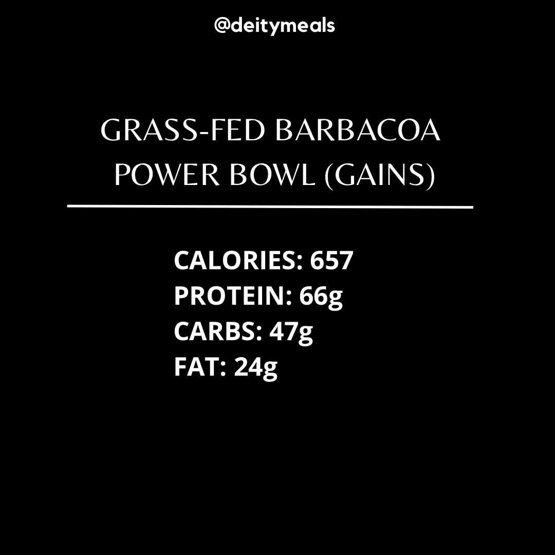 Grass-Fed Barbacoa Power Bowl